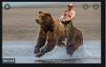 Putin bear.png