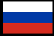 Russian flag small with border.png
